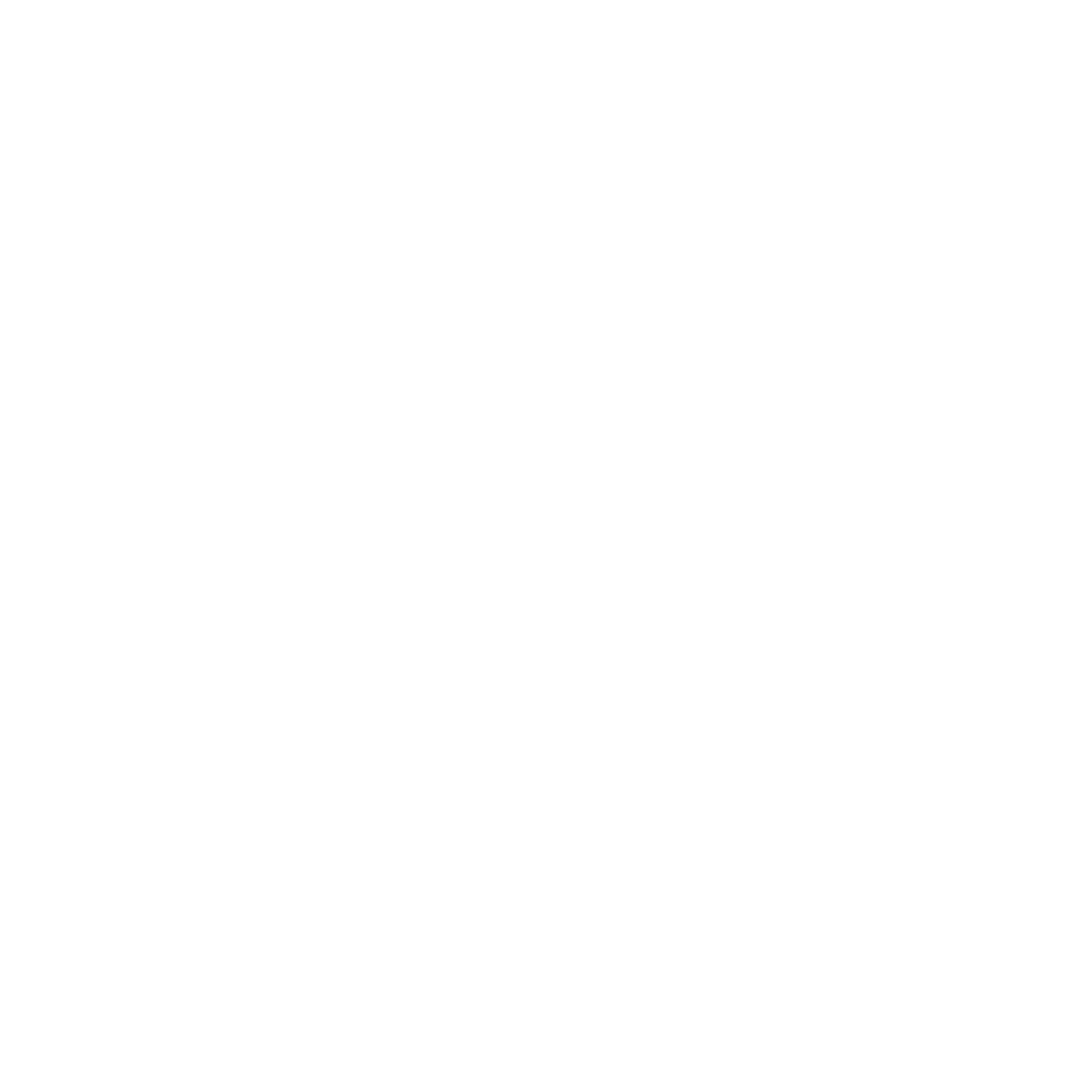 Logo FN GROUP